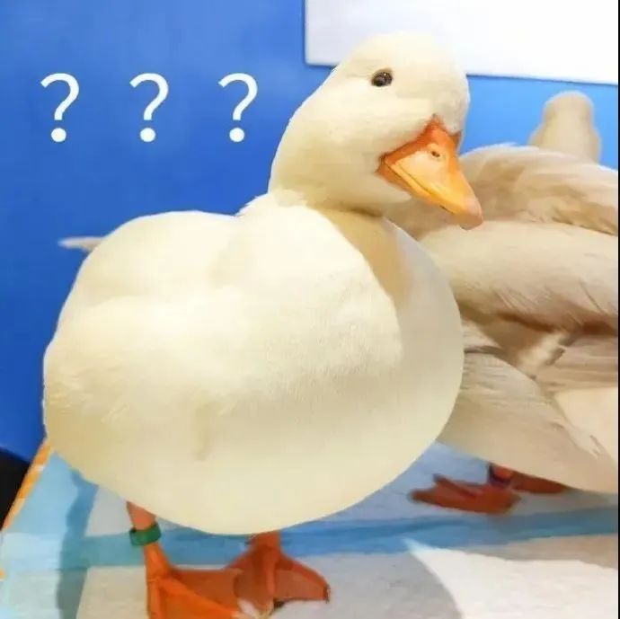 DƬ